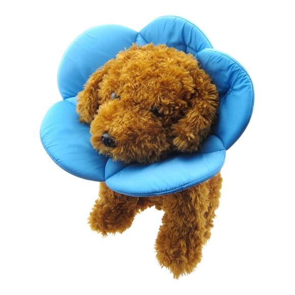 Alfie pet Kora recovery collar size small blue dog or cats - Picture 1 of 6